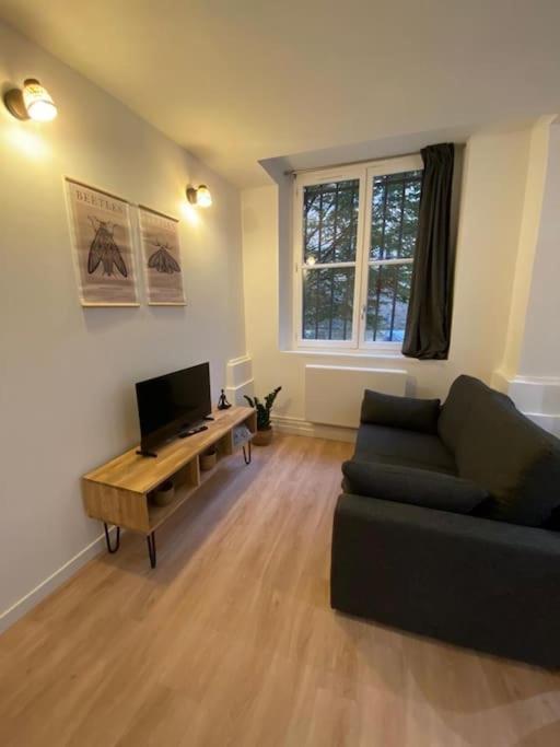 Appartamento Cozy 1Br+Sofa Bed In Lyon Center Esterno foto