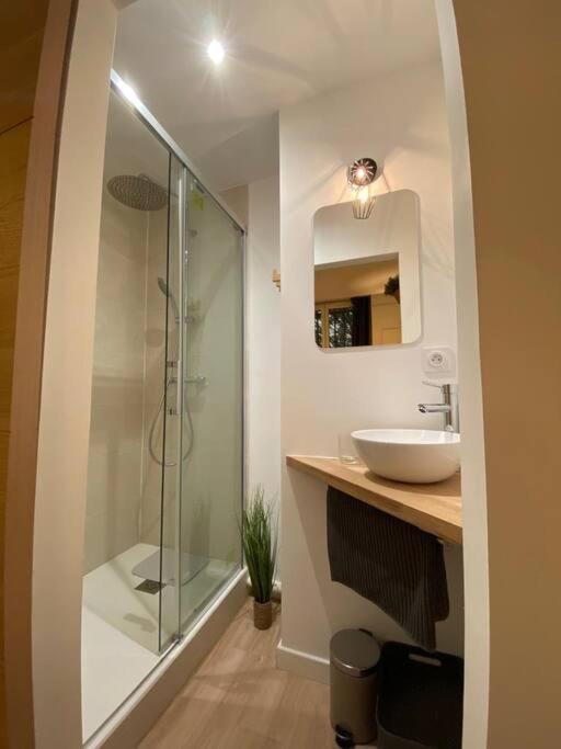 Appartamento Cozy 1Br+Sofa Bed In Lyon Center Esterno foto